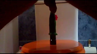 Tuga com vibrador no c&uacute;